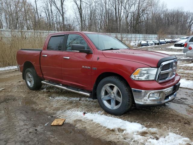 1D7RV1CT2AS217243 - 2010 DODGE RAM 1500 RED photo 4