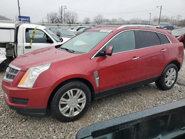 3GYFNAEY9BS614986 - 2011 CADILLAC SRX LUXURY COLLECTION BURGUNDY photo 1