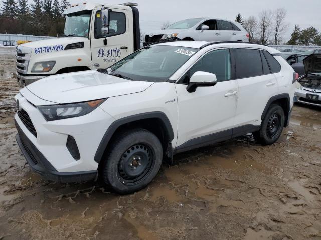 2019 TOYOTA RAV4 LE, 