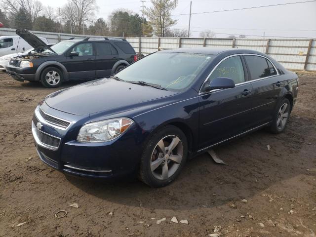 1G1ZC5E19BF205726 - 2011 CHEVROLET MALIBU 1LT 蓝色 照片 2