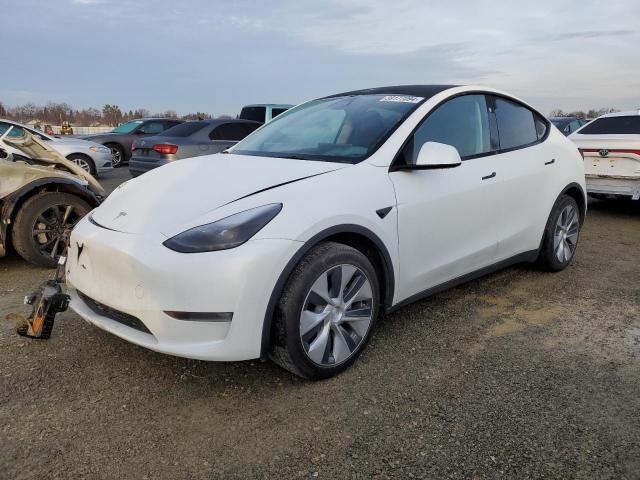 2023 TESLA MODEL Y, 