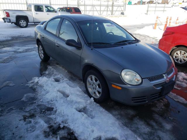 1B3ES56C85D277608 - 2005 DODGE NEON SXT GRAY photo 4