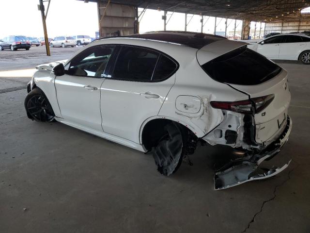 ZASPAKBN4M7D19650 - 2021 ALFA ROMEO STELVIO TI Ağ foto 2