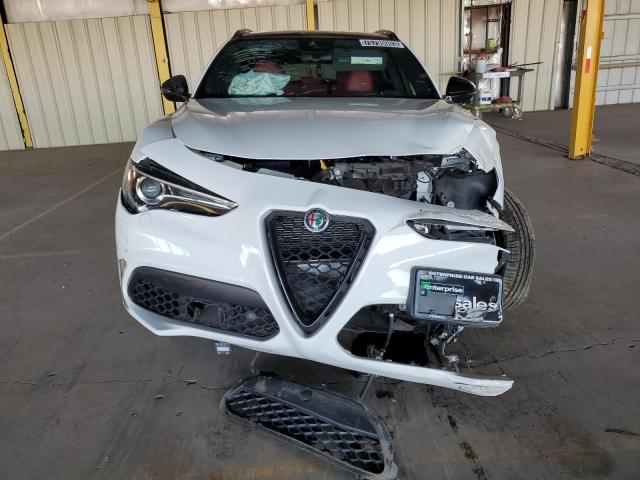 ZASPAKBN4M7D19650 - 2021 ALFA ROMEO STELVIO TI Ağ foto 5