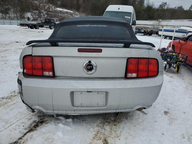 1ZVHT85H265217324 - 2006 FORD MUSTANG GT SILVER photo 10