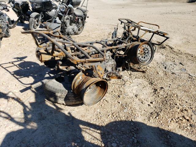 1HFTE290854101578 - 2005 HONDA TRX400 FA BURN photo 4