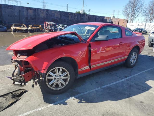 1ZVFT80N655228894 - 2005 FORD MUSTANG RED photo 1