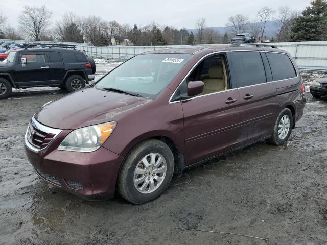 2009 HONDA ODYSSEY EXL, 