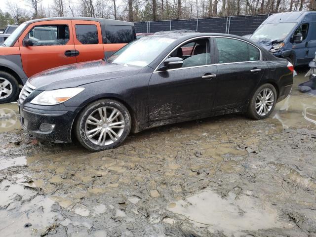 2010 HYUNDAI GENESIS 3.8L, 