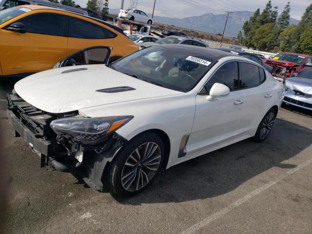 KNAE15LA1K6047958 - 2019 KIA STINGER WHITE photo 1