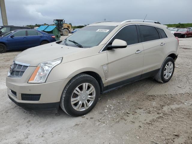 3GYFNAEYXBS589371 - 2011 CADILLAC SRX LUXURY COLLECTION GOLD photo 1