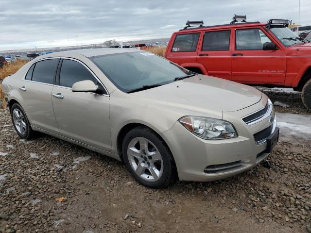 1G1ZH57B89F158397 - 2009 CHEVROLET MALIBU 1LT 金色 照片 4