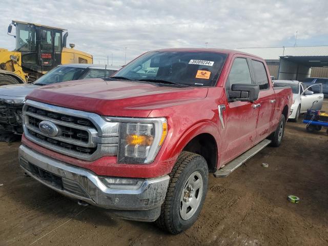 1FTFW1E87NKD09439 - 2022 FORD F150 SUPERCREW RED photo 1