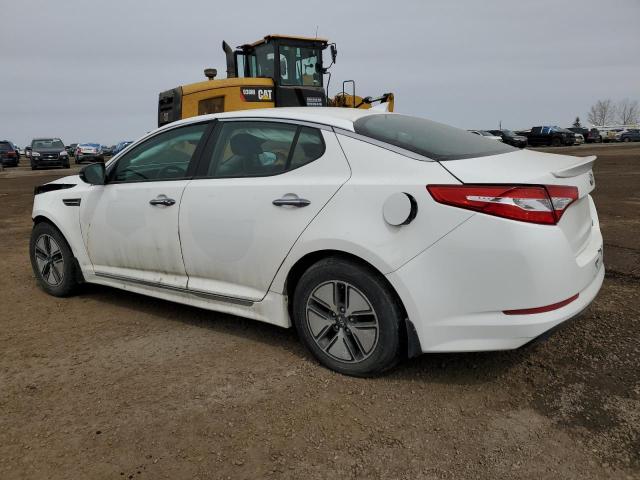 KNAGM4AD2B5006879 - 2011 KIA OPTIMA HYBRID WHITE photo 2