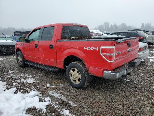 1FTFW1EV7AKC51462 - 2010 FORD F150 SUPERCREW RED photo 2