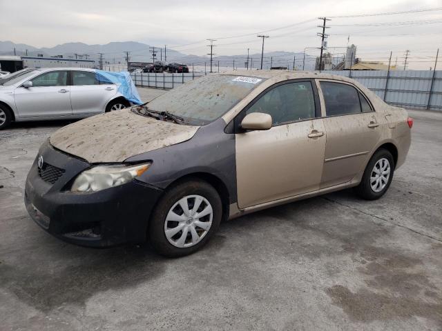 1NXBU4EE1AZ192477 - 2010 TOYOTA COROLLA BASE BEIGE photo 1