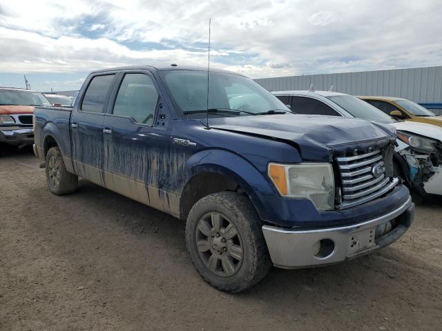 1FTEW1C88AFD66086 - 2010 FORD F150 SUPERCREW BLUE photo 4