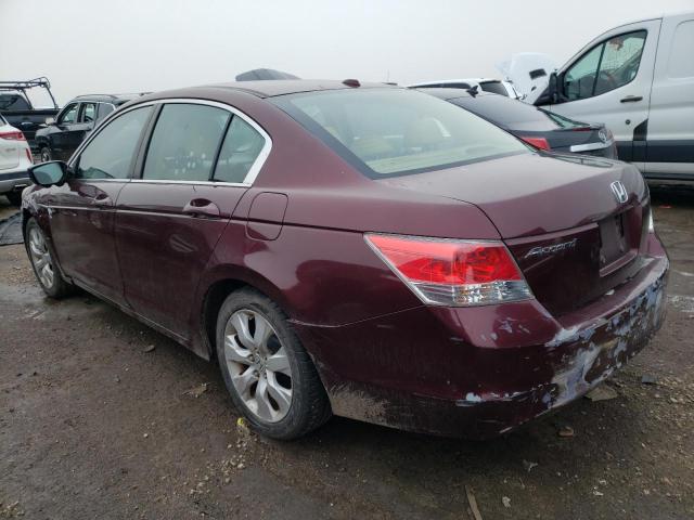 1HGCP2F83AA079808 - 2010 HONDA ACCORD EXL BURGUNDY photo 2