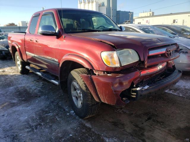 5TBBT441X6S482405 - 2006 TOYOTA TUNDRA ACCESS CAB SR5 BURGUNDY photo 4