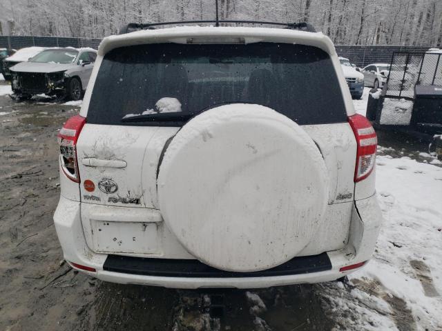 2T3RF4DV3AW074111 - 2010 TOYOTA RAV4 SPORT WHITE photo 6