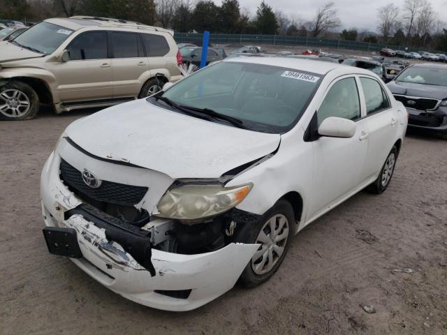 2T1BU4EE0AC410202 - 2010 TOYOTA COROLLA BASE WHITE photo 1