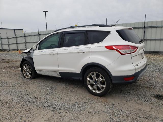 1FMCU0G95EUA43234 - 2014 FORD ESCAPE SE WHITE photo 2