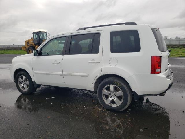 5FNYF38569B026443 - 2009 HONDA PILOT EXL WHITE photo 2