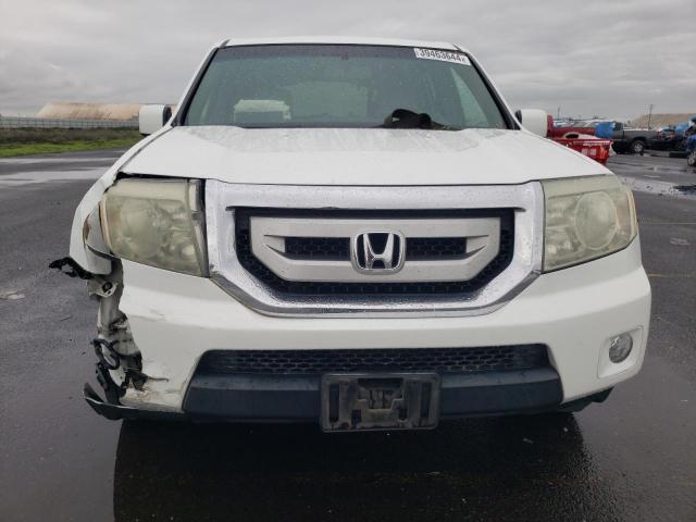 5FNYF38569B026443 - 2009 HONDA PILOT EXL WHITE photo 5