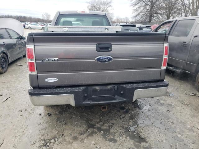 1FTMF1CW3AKE34098 - 2010 FORD F150 GRAY photo 6