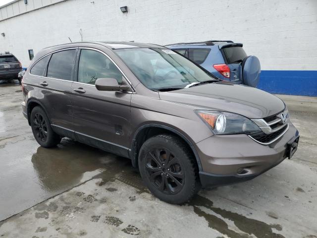 5J6RE4H71BL006077 - 2011 HONDA CR-V EXL TAN photo 4