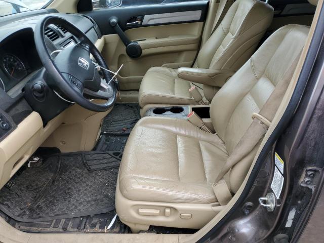 5J6RE4H71BL006077 - 2011 HONDA CR-V EXL TAN photo 7