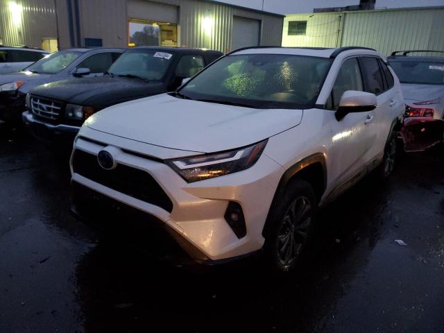 2023 TOYOTA RAV4 XLE PREMIUM, 