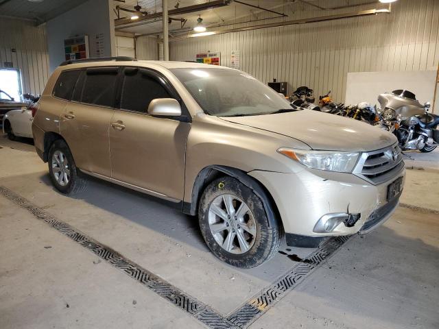 5TDBK3EHXDS207937 - 2013 TOYOTA HIGHLANDER BASE ذهبي صورة 4
