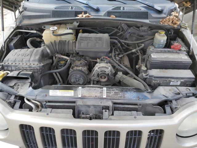 1J4GK38K03W579793 - 2003 JEEP LIBERTY RENEGADE 棕色 照片 11