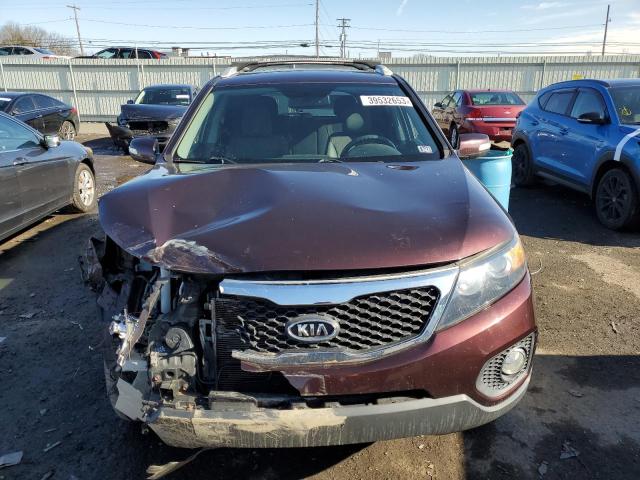 5XYKTDA29CG297548 - 2012 KIA SORENTO BASE BURGUNDY photo 5