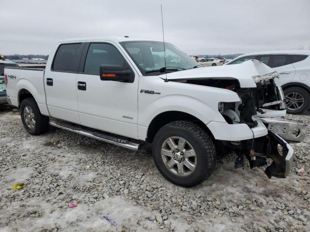 1FTFW1ET8DKG22048 - 2013 FORD F150 SUPERCREW WHITE photo 4