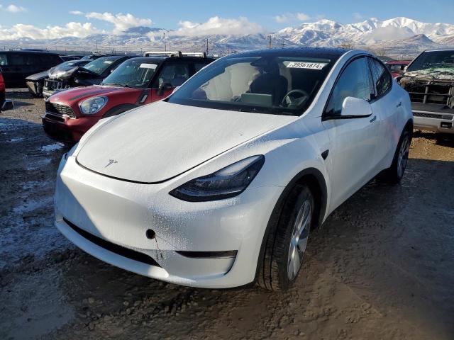 2023 TESLA MODEL Y, 