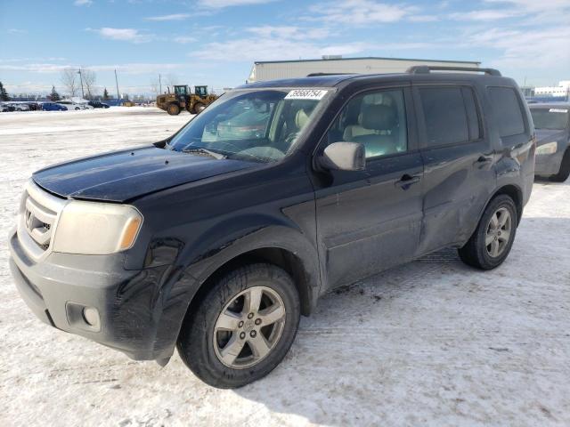 5FNYF48509B501297 - 2009 HONDA PILOT EXL BLACK photo 1