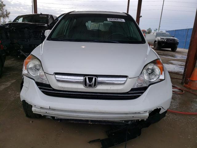 5J6RE38759L023016 - 2009 HONDA CR-V EXL WHITE photo 5