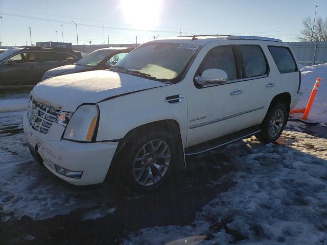 1GYUKBEFXAR113739 - 2010 CADILLAC ESCALADE LUXURY WHITE photo 1