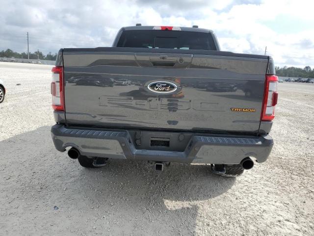 1FTEW1E8XMFC99010 - 2021 FORD F150 SUPER GRAY photo 6