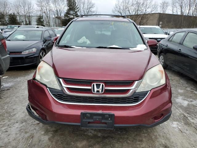 5J6RE4H78AL053542 - 2010 HONDA CR-V EXL BURGUNDY photo 5