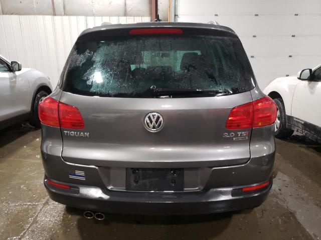 WVGBV3AX1EW537810 - 2014 VOLKSWAGEN TIGUAN S GRAY photo 6