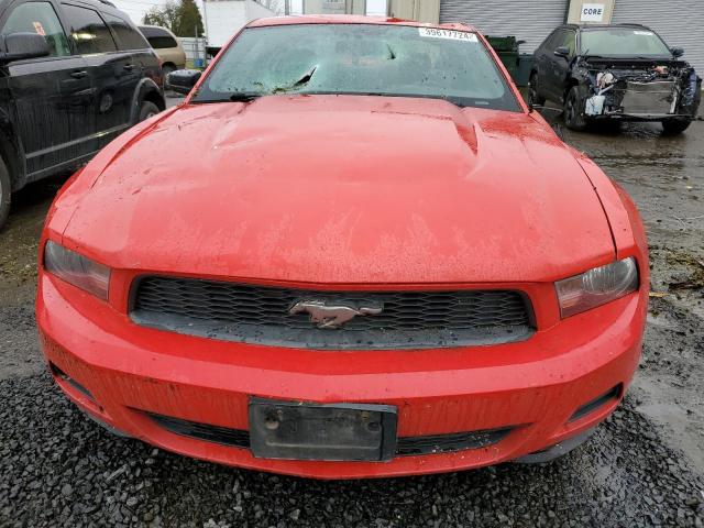 1ZVBP8AN6A5127561 - 2010 FORD MUSTANG RED photo 5