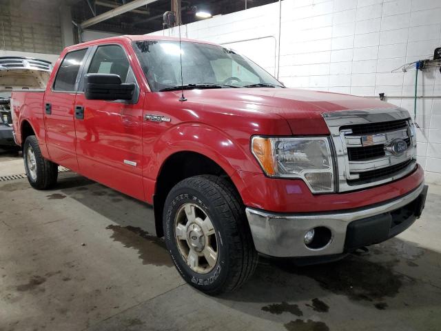 1FTFW1ETXEKD27177 - 2014 FORD F150 SUPERCREW RED photo 4