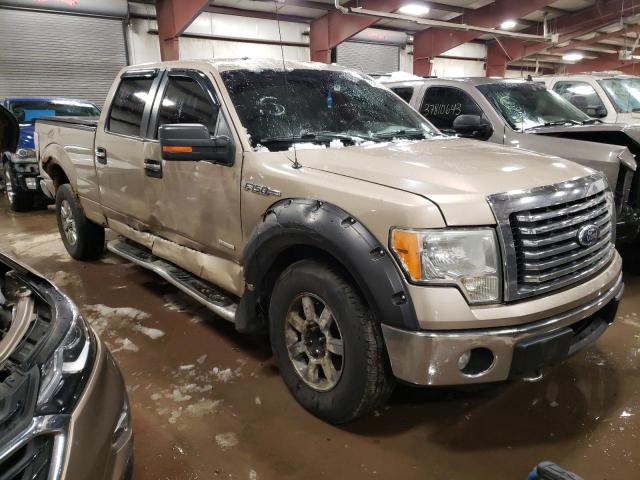 1FTFW1ET9BKD85602 - 2011 FORD F150 SUPER GOLD photo 4