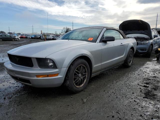 1ZVFT84N855163430 - 2005 FORD MUSTANG SILVER photo 1