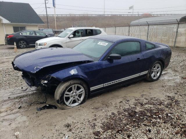 1ZVBP8AM5C5284668 - 2012 FORD MUSTANG BLUE photo 1