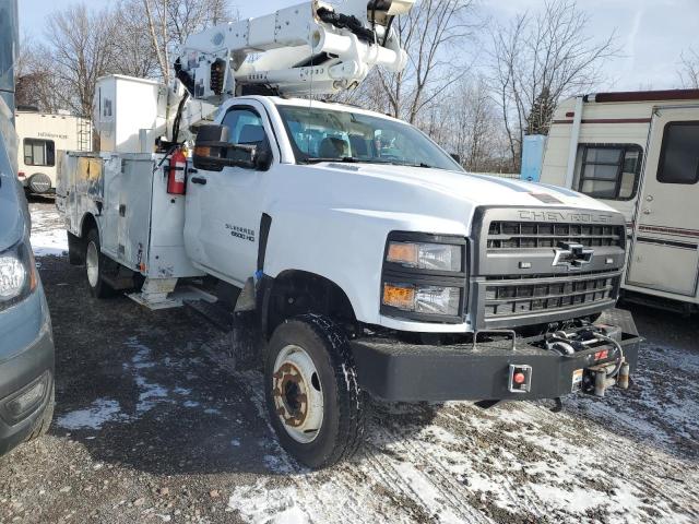 1HTKJPVM8LH212440 - 2020 CHEVROLET SILVERADO WHITE photo 4