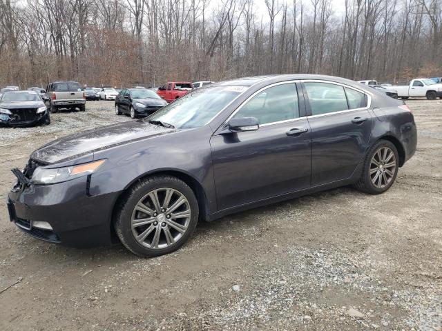 19UUA8F39EA003822 - 2014 ACURA TL SE GRAY photo 1